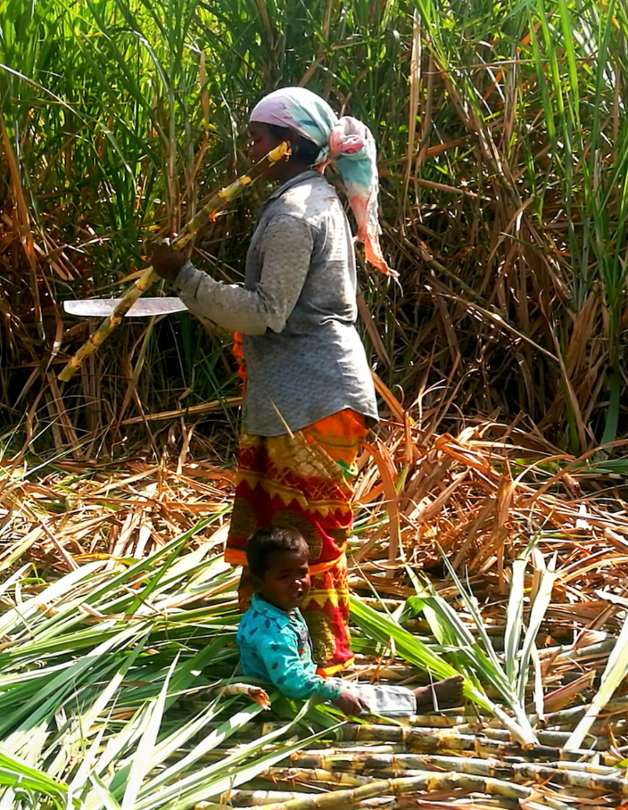  Una trabajadora de la caña de azúcar en India, con su hijo.@MAKAAM 